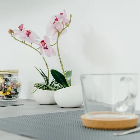 Pensjonat Kovacic 3*