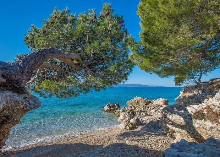 Pensión Kovacic Makarska